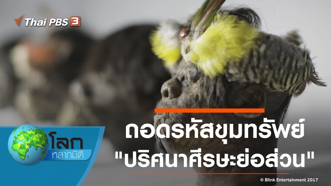 ถอดรหัสขุมทรัพย์ ตอน ปริศนาศีรษะย่อส่วน