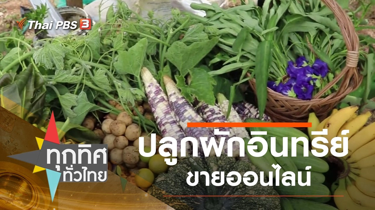 ปลูกผักอินทรีย์ขายออนไลน์