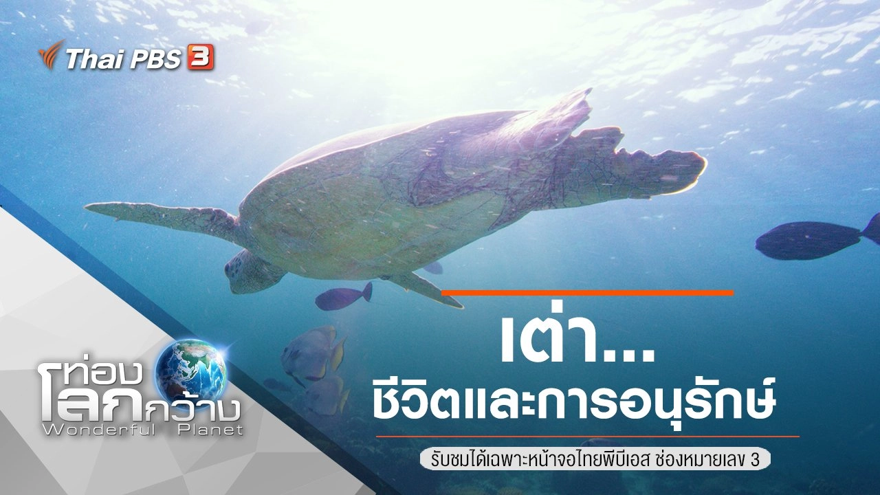 เต่า...ชีวิตและการอนุรักษ์