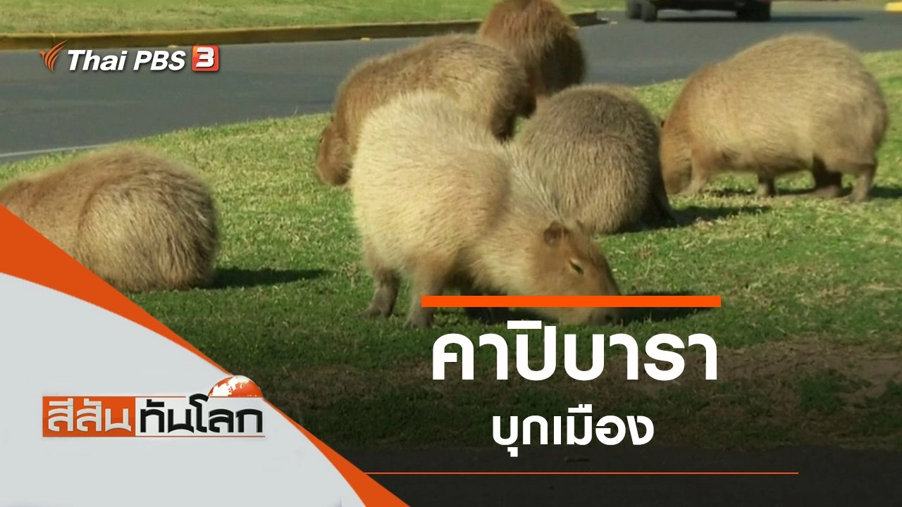 ประเด็นข่าว (18 ก.ย. 64)