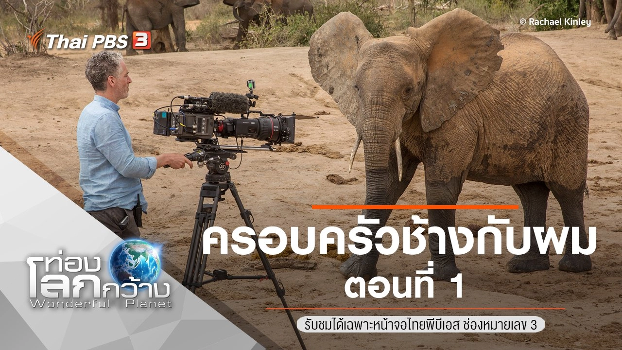 ครอบครัวช้างกับผม ตอนที่ 1