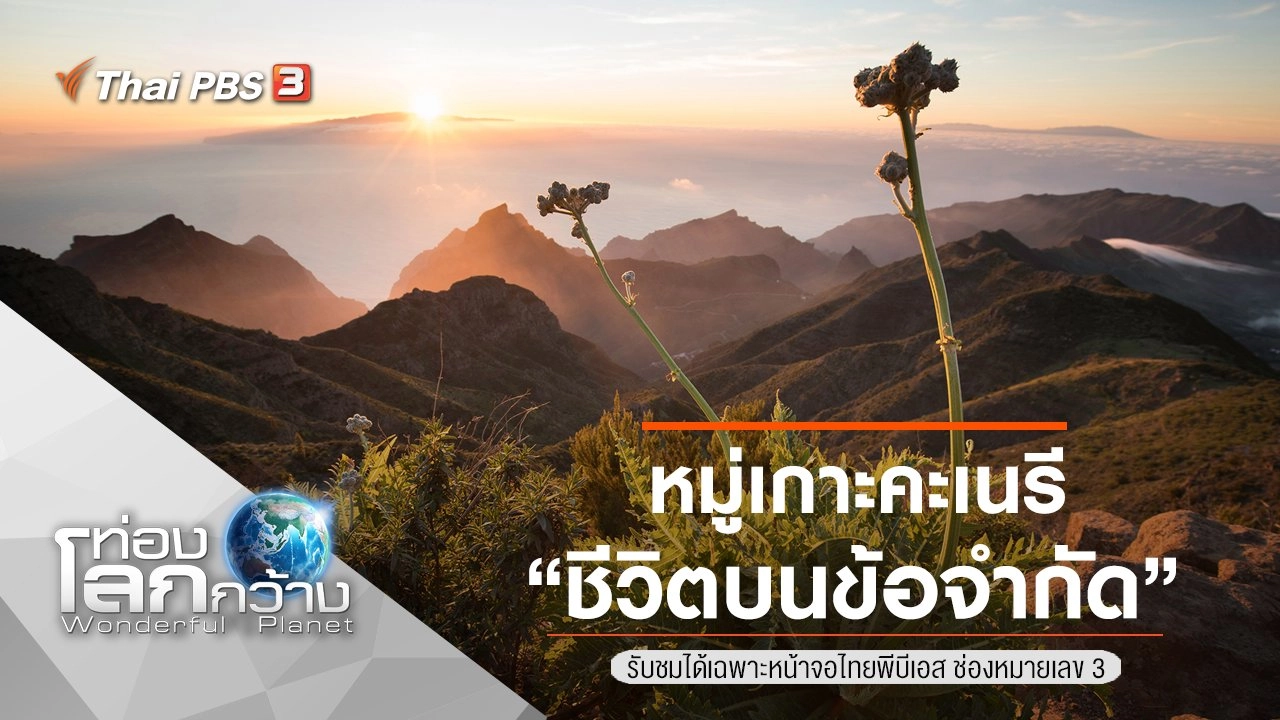 หมู่เกาะคะเนรี ตอน ชีวิตบนข้อจำกัด