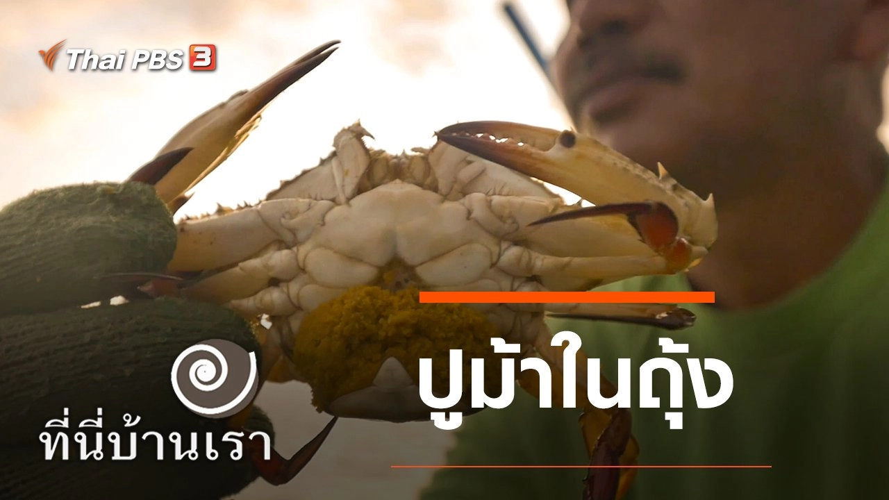 ปูม้าในถุ้ง