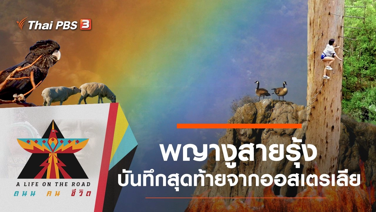 พญางูสายรุ้ง บันทึกสุดท้ายจากออสเตรเลีย