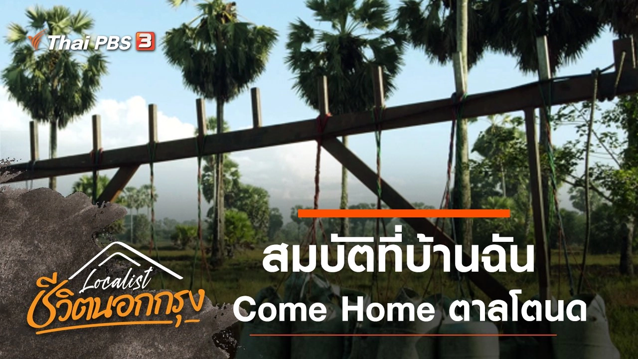 สมบัติที่บ้านฉัน Come Home ตาลโตนด