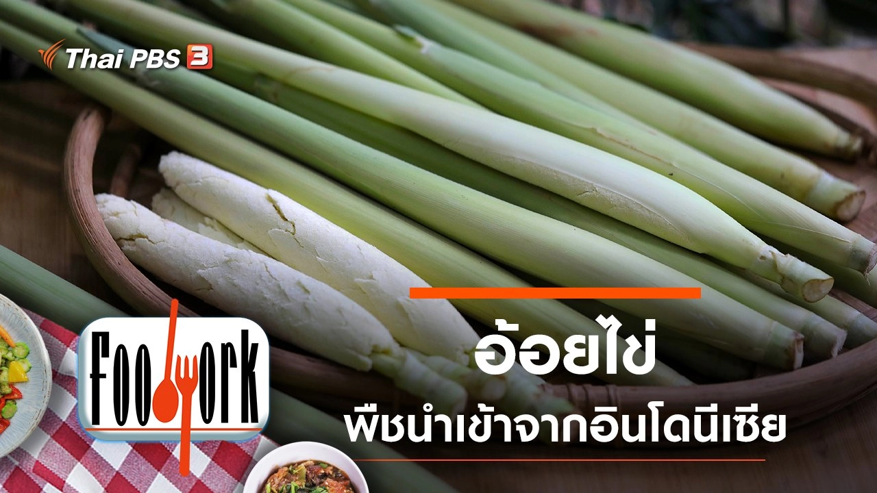 อ้อยไข่