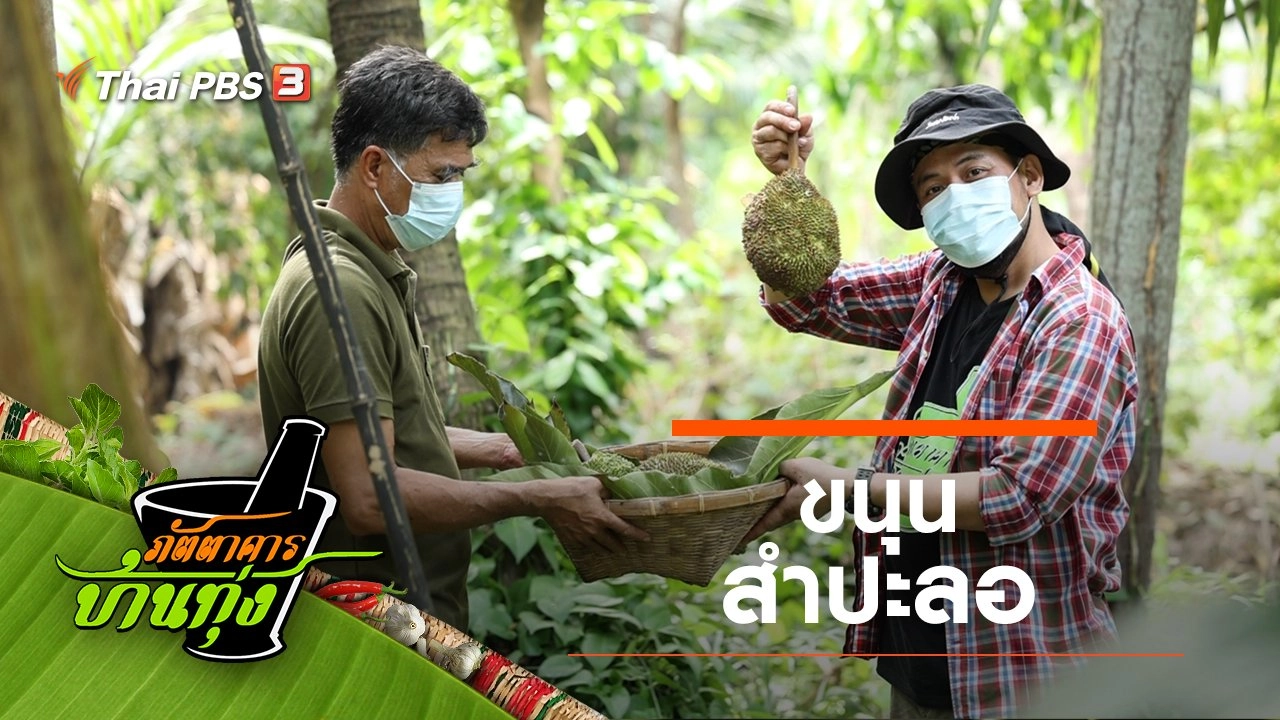 ขนุนสำปะลอ