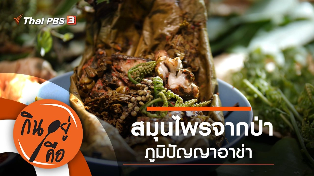 สมุนไพรจากป่าภูมิปัญญาอาข่า