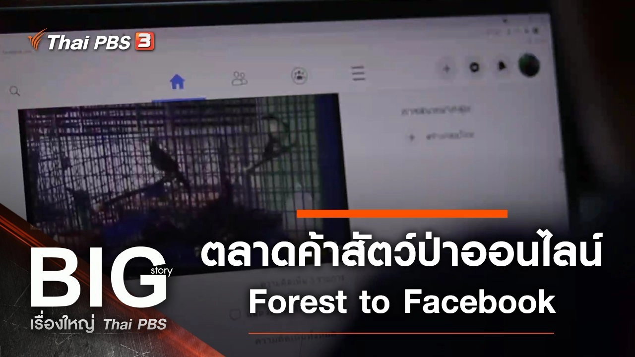 ตลาดค้าสัตว์ป่าออนไลน์ Forest to Facebook