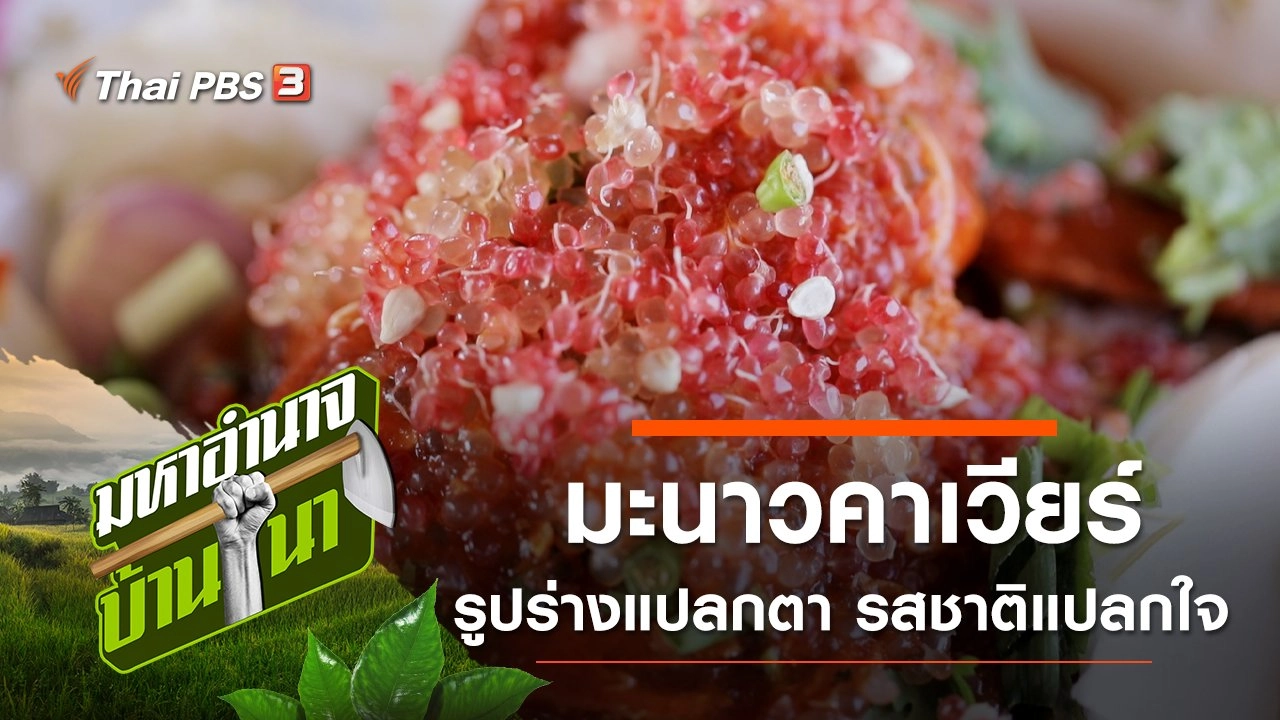 มะนาวคาเวียร์ รูปร่างแปลกตา รสชาติแปลกใจ