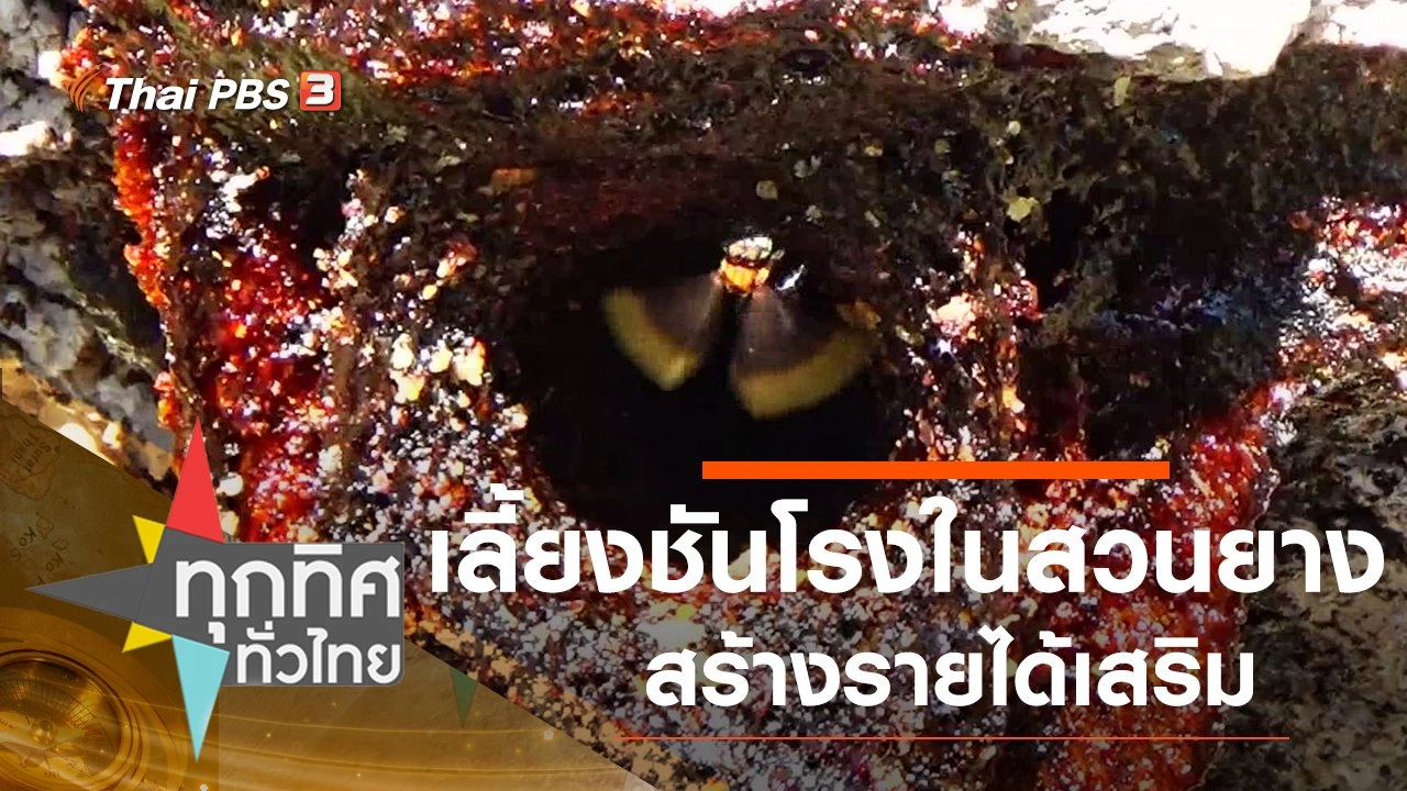 ทุกทิศทั่วไทย