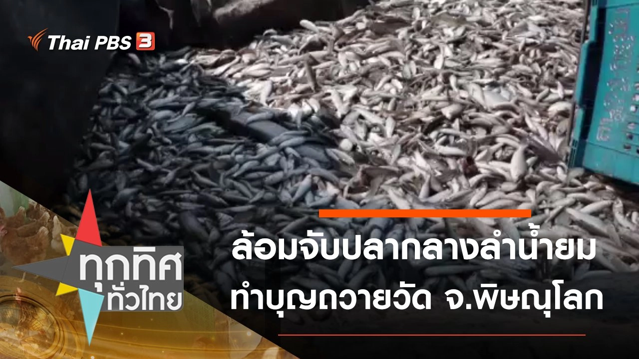 ล้อมจับปลากลางลำน้ำยมทำบุญถวายวัด จ.พิษณุโลก