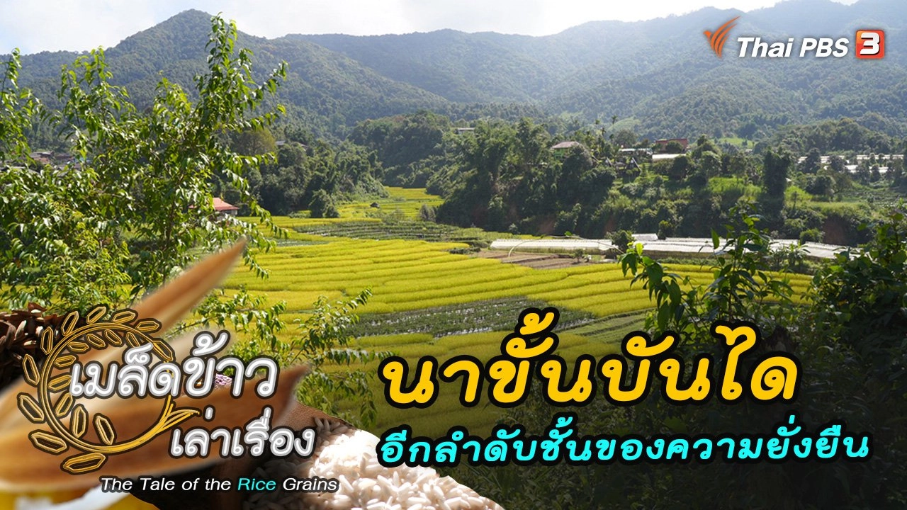 นาขั้นบันไดอีกลำดับชั้นของความยั่งยืน