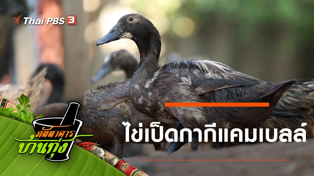 ไข่เป็ดกากีแคมเบลล์