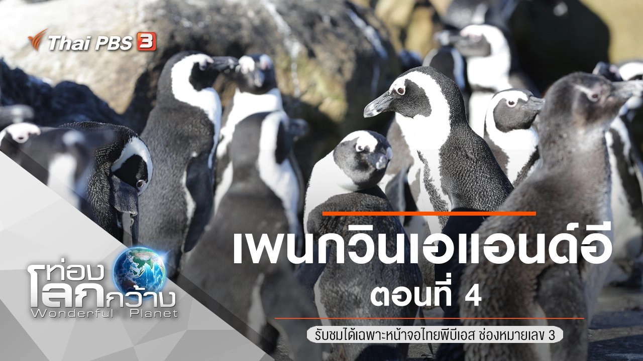 เพนกวินเอแอนด์อี ตอนที่ 4