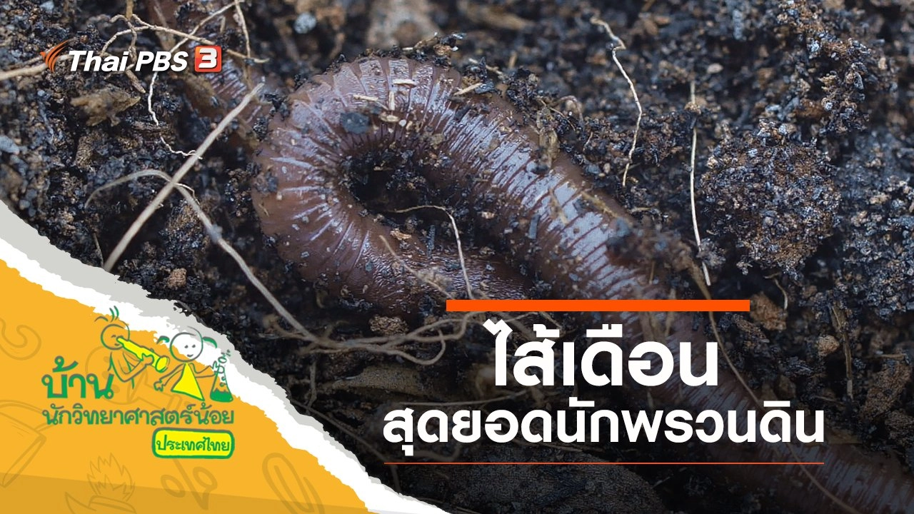 “ไส้เดือน” สุดยอดนักพรวนดิน