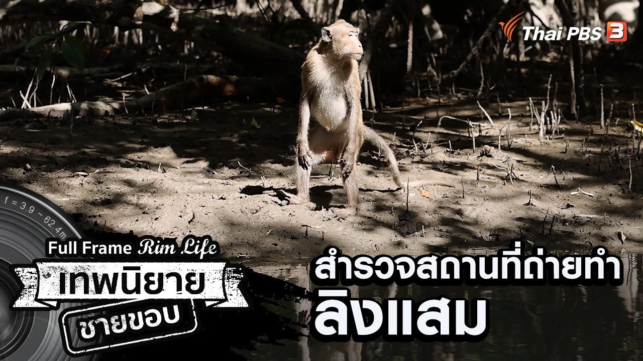 สำรวจสถานที่ถ่ายทำลิงแสม