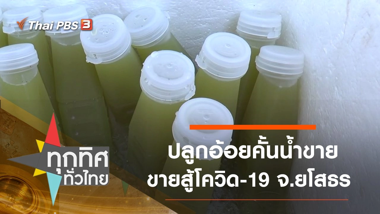 ปลูกอ้อยคั้นน้ำขายสู้โควิด-19 จ.ยโสธร