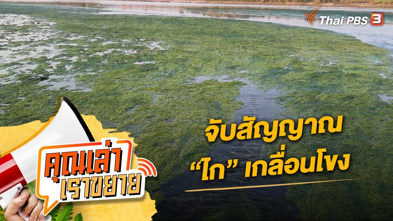 จับสัญญาณ “ไก” เกลื่อนโขง