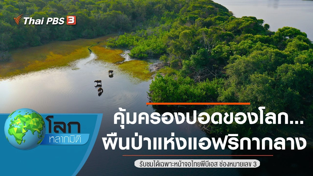 คุ้มครองปอดของโลก...ผืนป่าแห่งแอฟริกากลาง