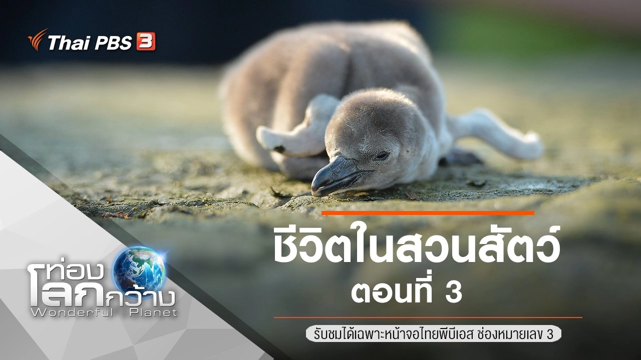 ชีวิตในสวนสัตว์ ตอนที่ 3