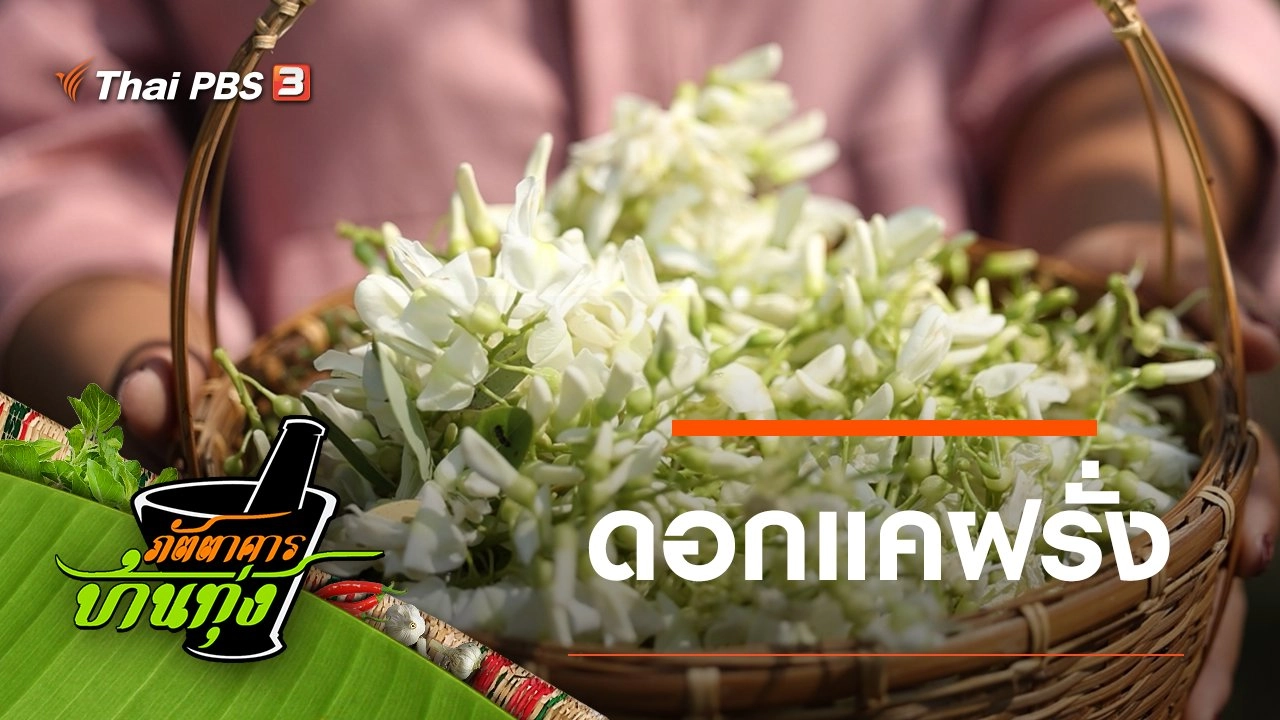 ดอกแคฝรั่ง