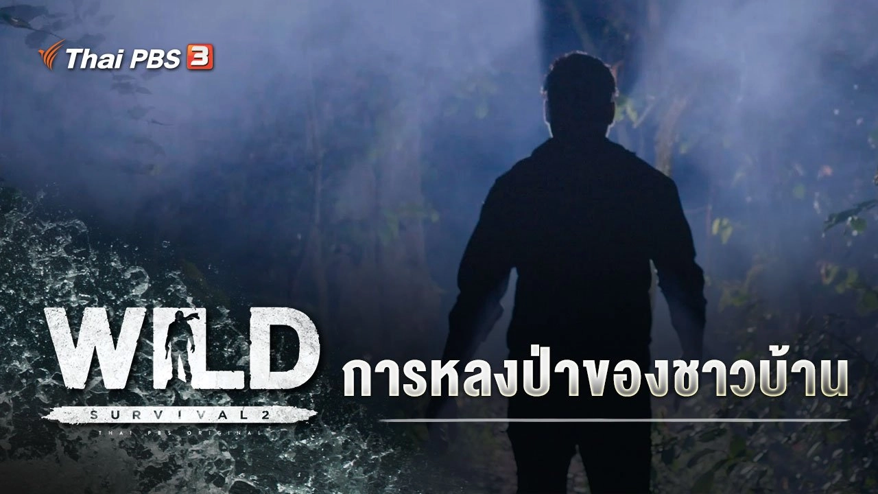 การหลงป่าของชาวบ้าน