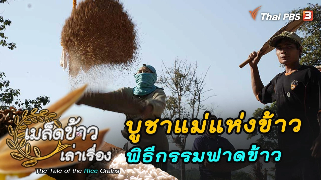 บูชาแม่แห่งข้าว