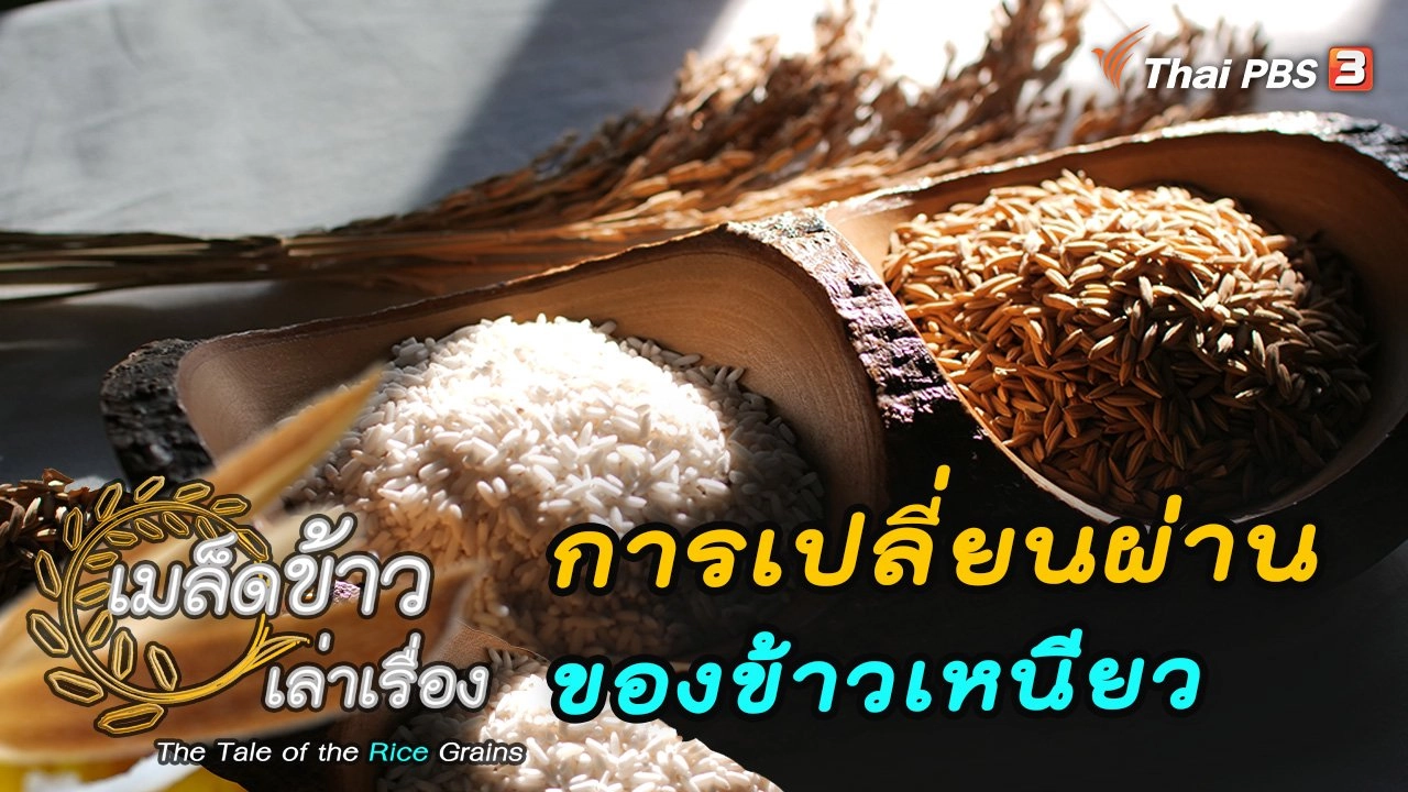 การเปลี่ยนผ่านฐานันดรของข้าวเหนียว