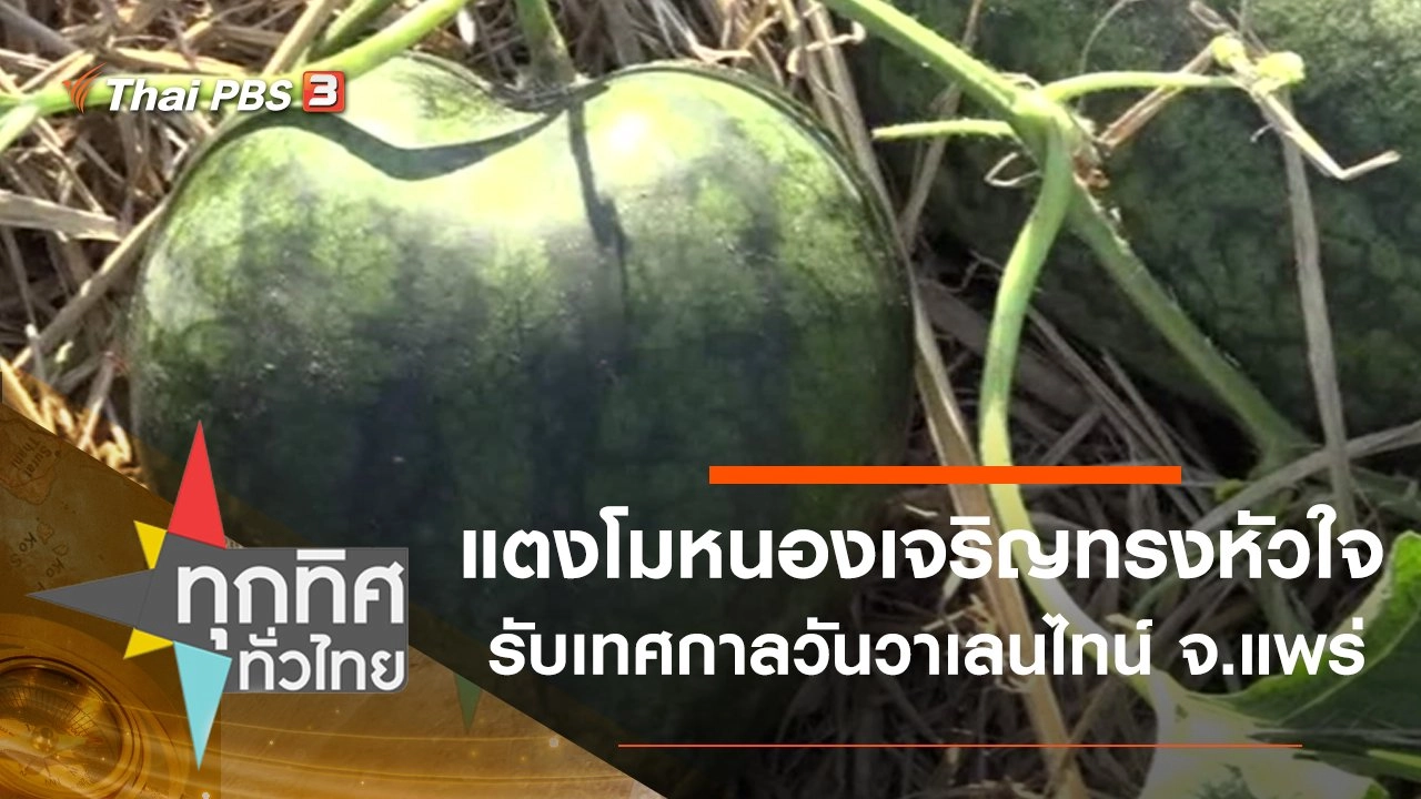 แตงโมหนองเจริญรูปทรงหัวใจ รับเทศกาลวันวาเลนไทน์ จ.แพร่