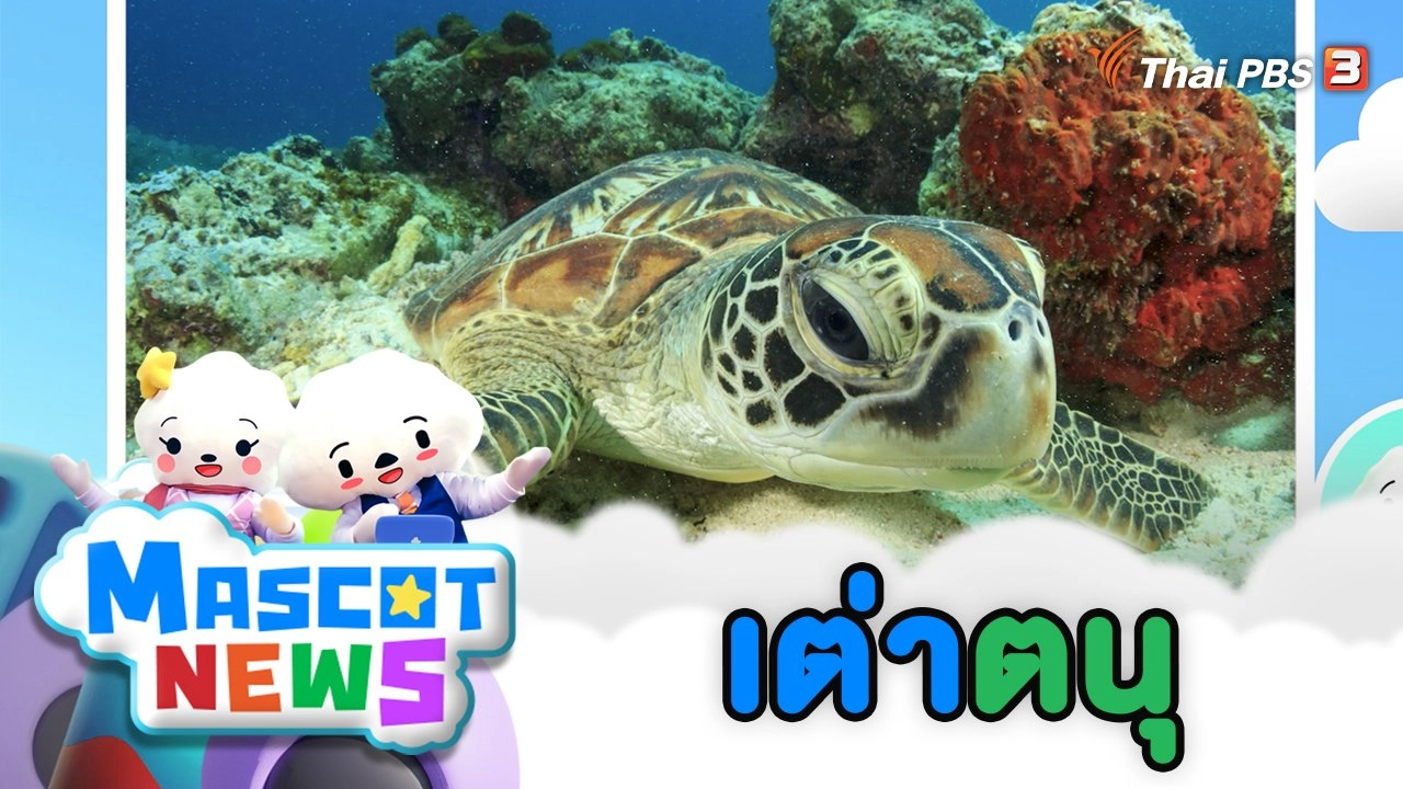 เต่าตนุ