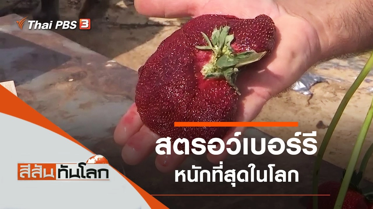 ประเด็นข่าว (19 ก.พ. 65)