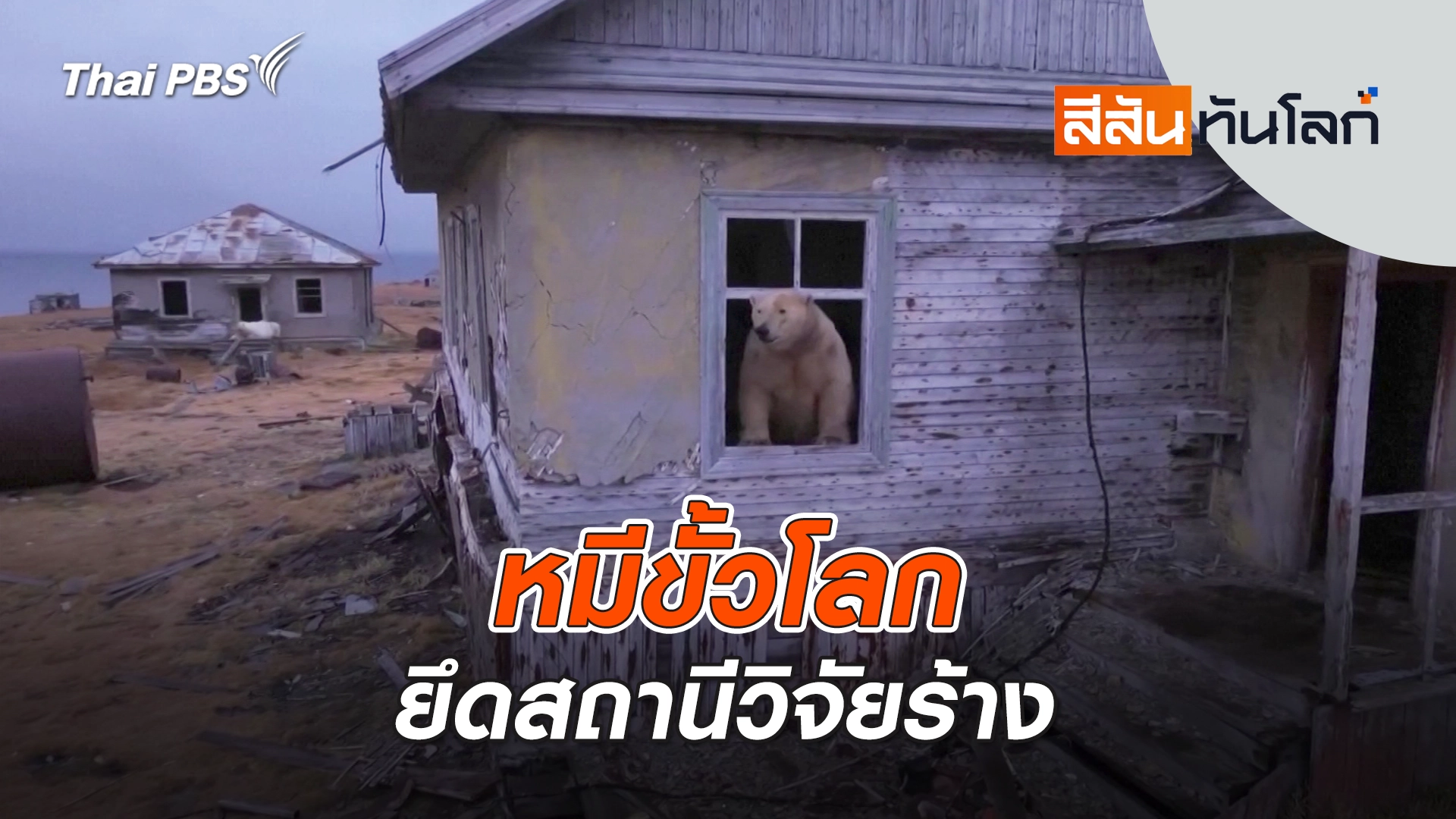 หมีขั้วโลกยึดสถานีวิจัยร้าง | 4 ต.ค. 68