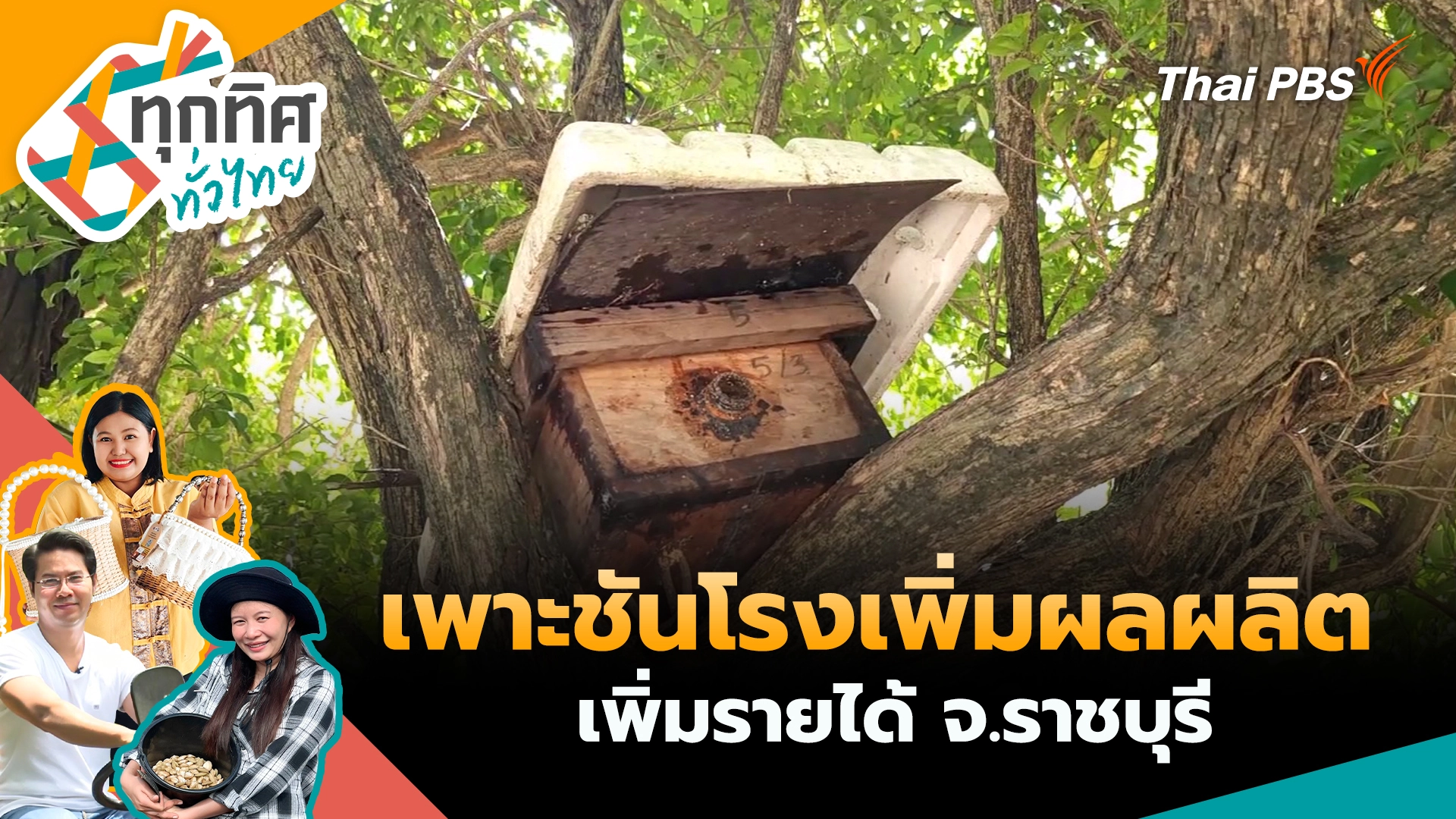 ทุกทิศทั่วไทย