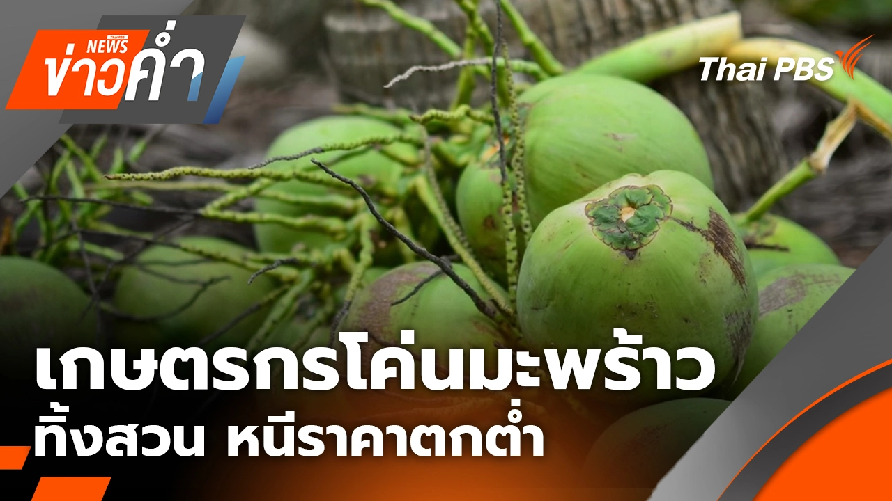 เกษตรกรโค่นมะพร้าว-ทิ้งสวน หนีราคาตกต่ำ | 5 มี.ค. 69