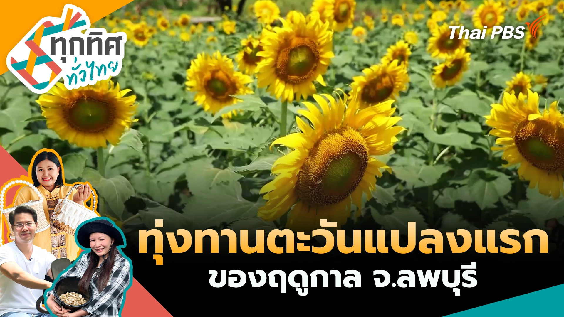 ทุกทิศทั่วไทย