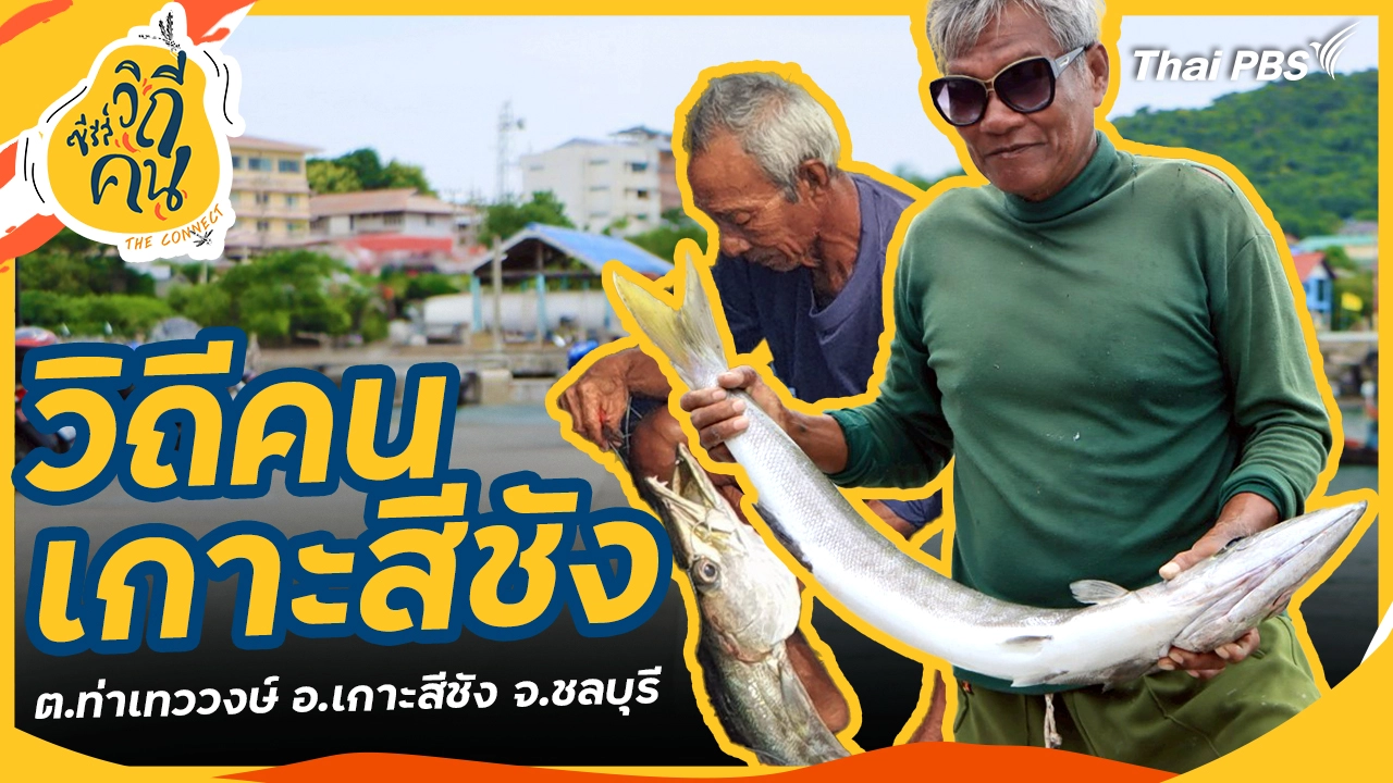 วิถีคนเกาะสีชัง ต.ท่าเทววงษ์ อ.เกาะสีชัง จ.ชลบุรี