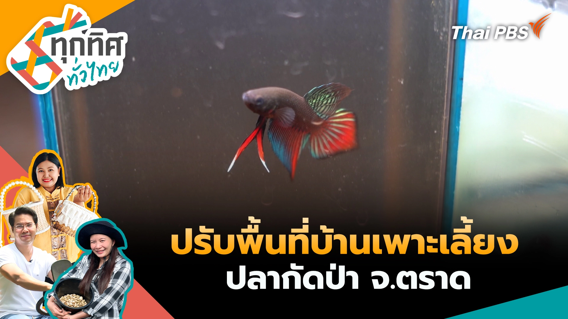 ทุกทิศทั่วไทย