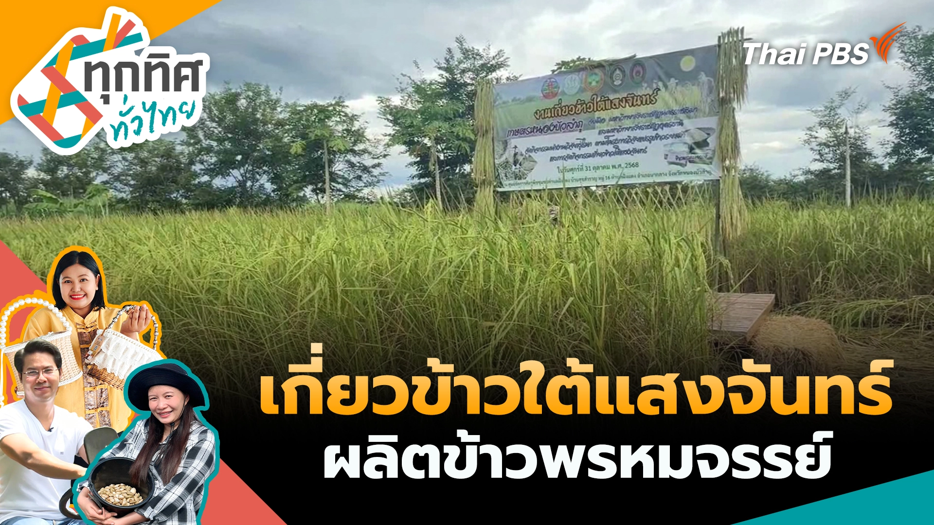 เกี่ยวข้าวใต้แสงจันทร์ผลิตข้าวพรหมจรรย์