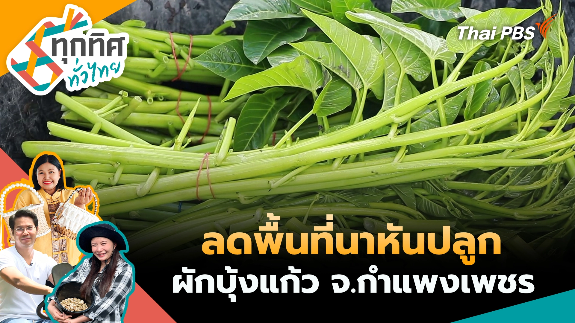 ทุกทิศทั่วไทย