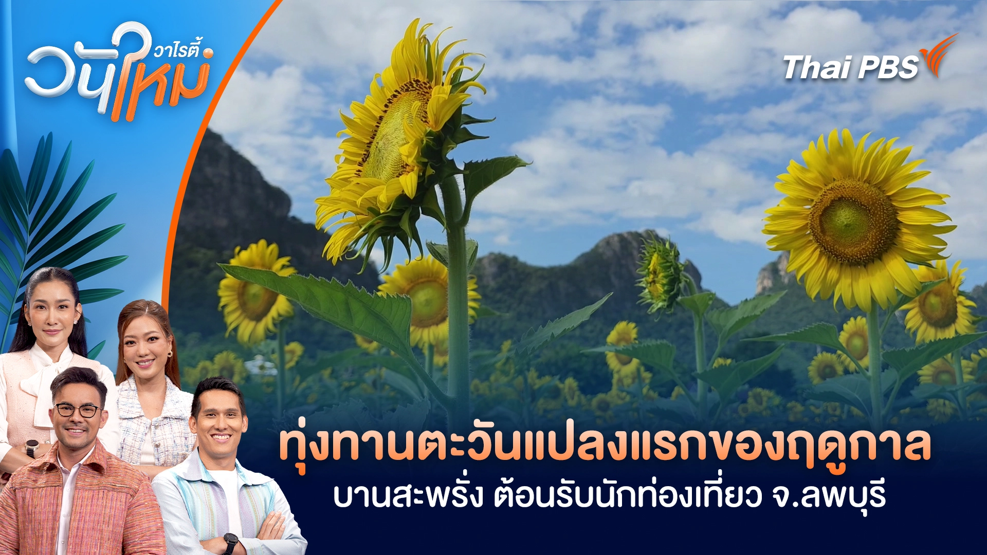 ทุ่งทานตะวันแปลงแรกของฤดูกาลบานสะพรั่ง ต้อนรับนักท่องเที่ยว จ.ลพบุรี | วันใหม่วาไรตี้ | 29 ต.ค. 68