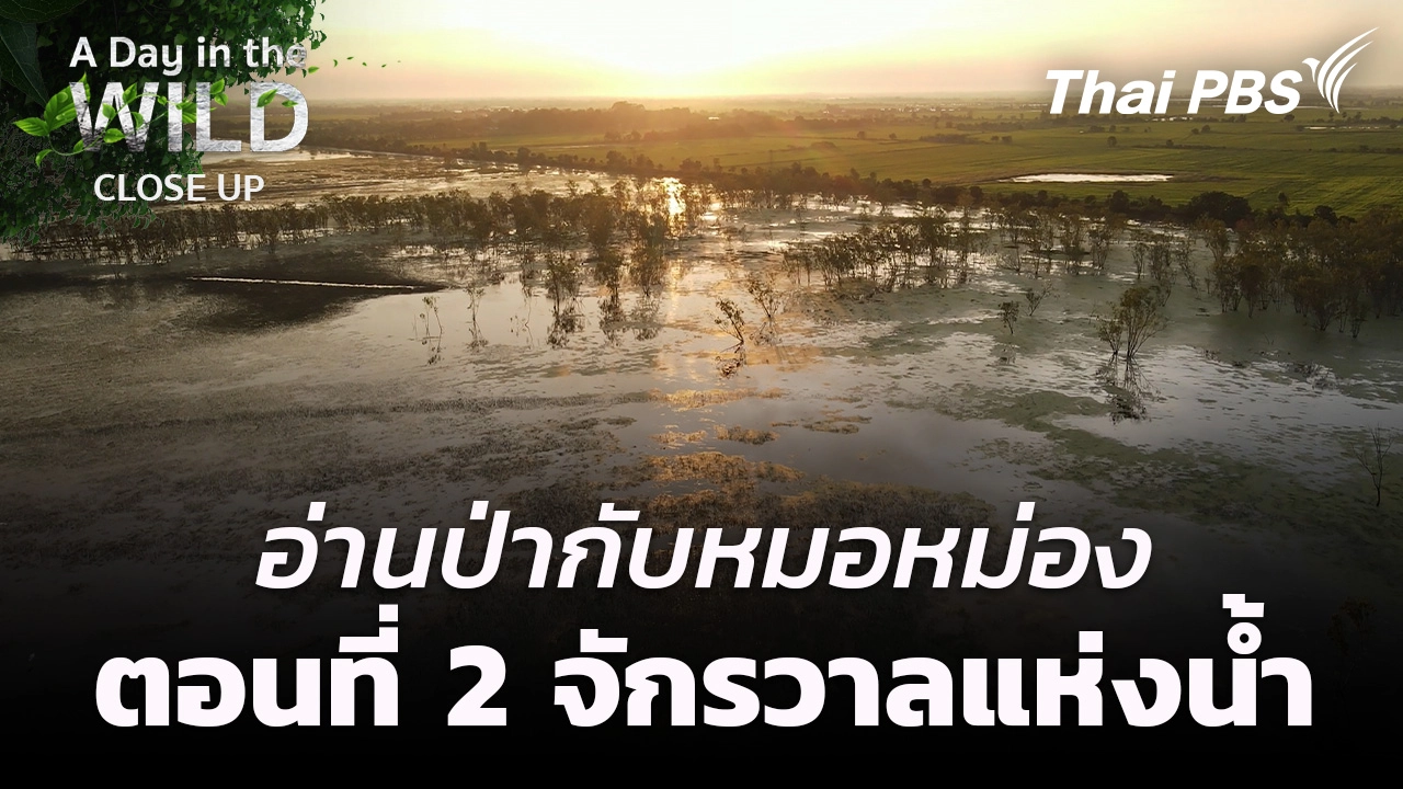 อ่านป่ากับหมอหม่อง   ตอนที่ 2 จักรวาลแห่งน้ำ