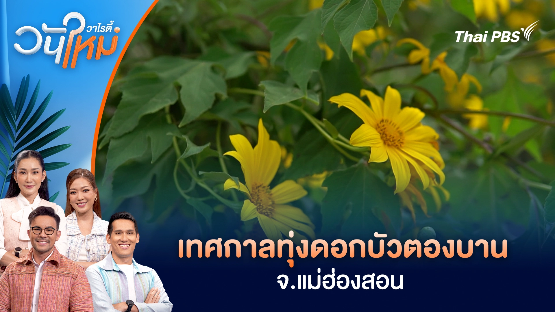 เทศกาลทุ่งดอกบัวตองบาน จ.แม่ฮ่องสอน | วันใหม่วาไรตี้ | 11 พ.ย. 68