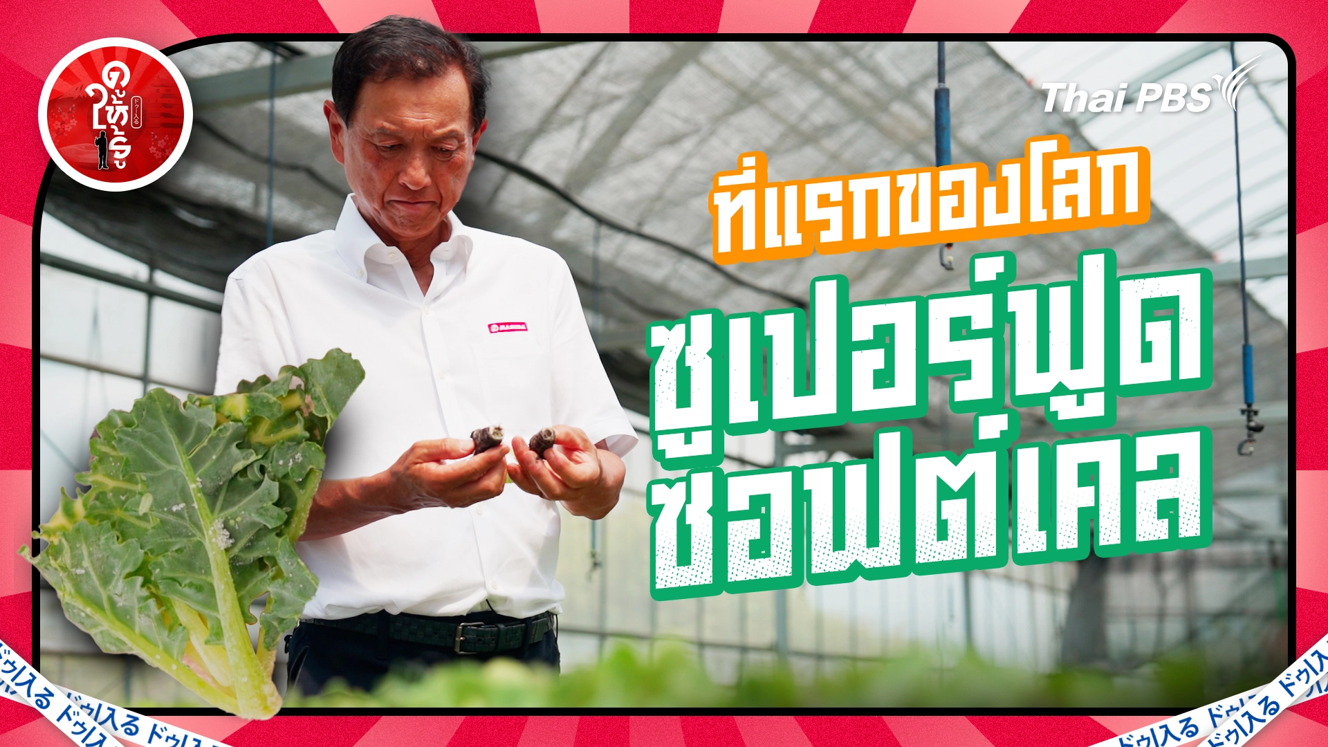 ที่แรกของโลก "ซูเปอร์ฟูดซอฟต์เคล" ผักใหม่กินง่ายได้คุณค่ากว่าเดิม