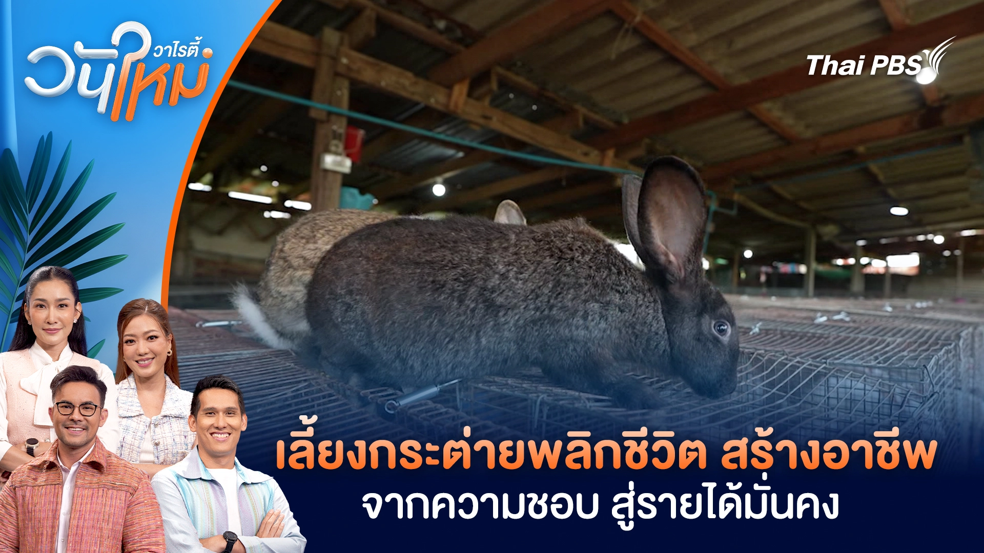 เลี้ยงกระต่ายพลิกชีวิต สร้างอาชีพจากความชอบ สู่รายได้มั่นคง| วันใหม่วาไรตี้ | 22 ธ.ค. 68