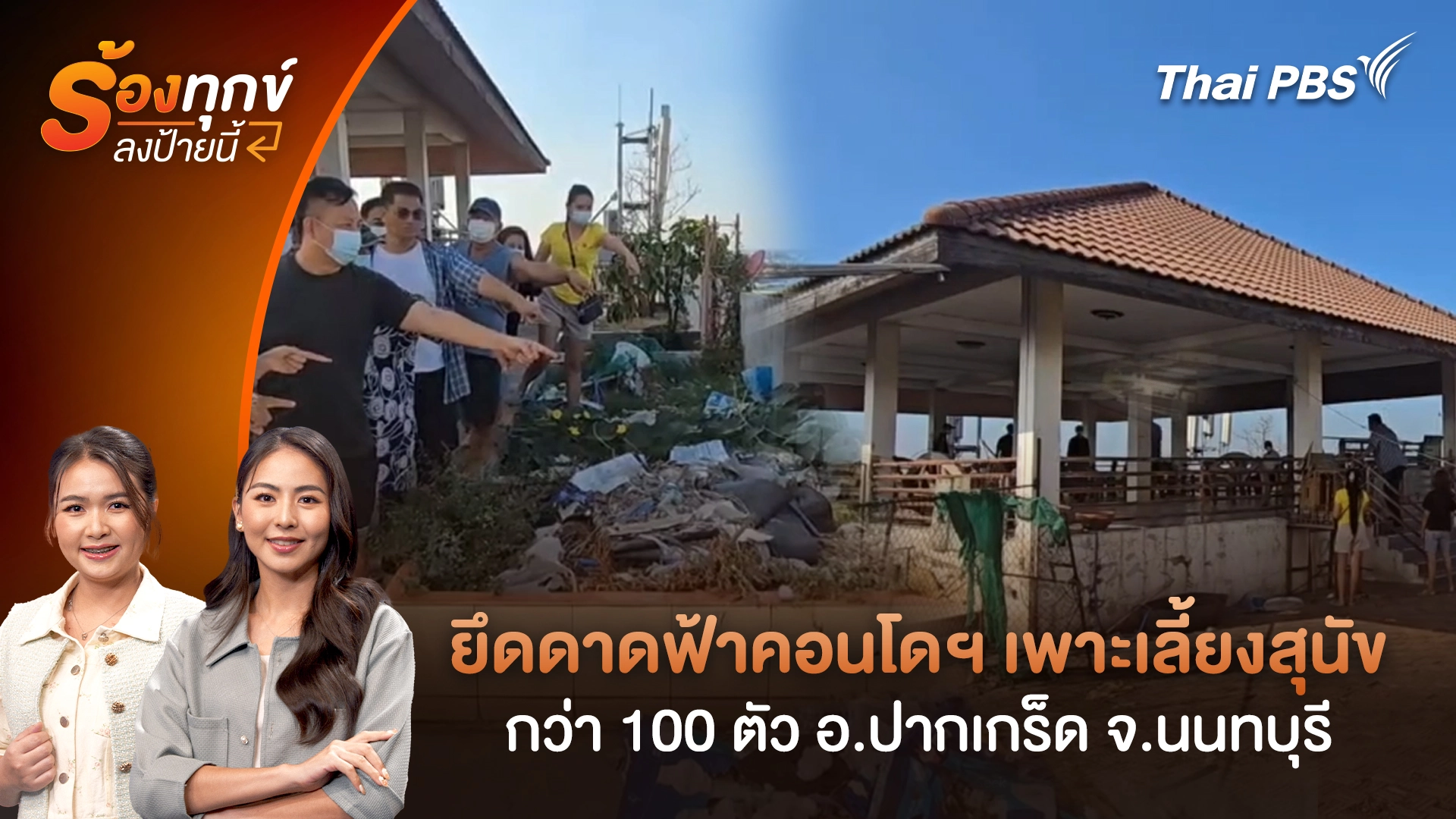 ยึดดาดฟ้าคอนโดฯ เพาะเลี้ยงสุนัขกว่า 100 ตัว อ.ปากเกร็ด จ.นนทบุรี