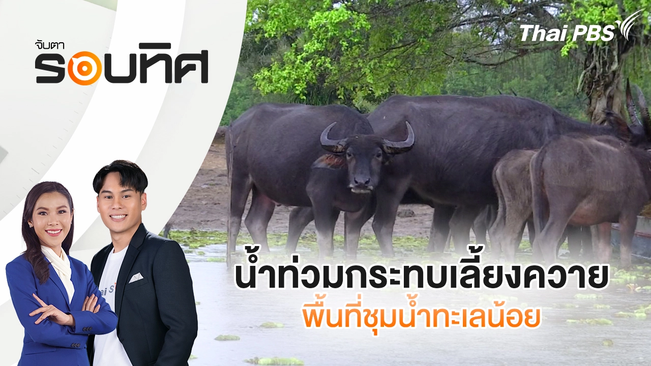 จับตารอบทิศ