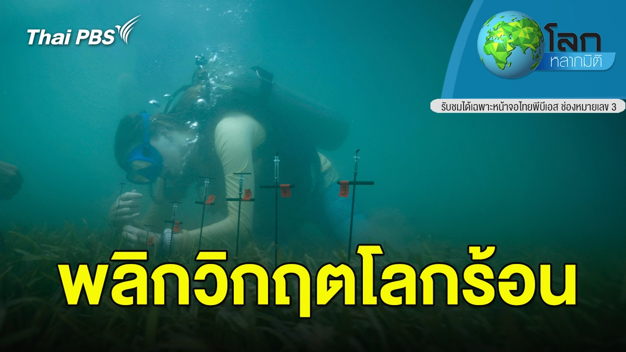 พลิกวิกฤตโลกร้อน