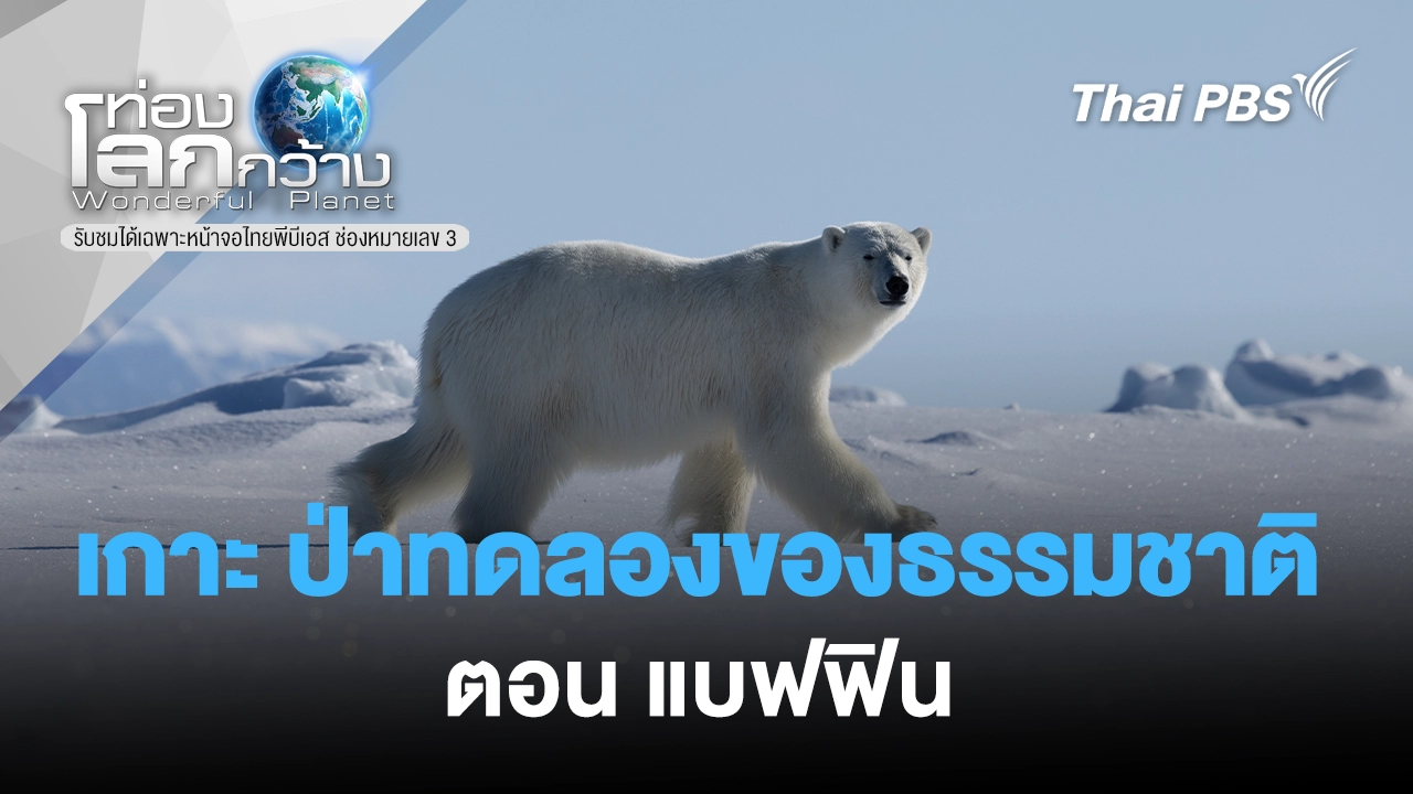 เกาะ ป่าทดลองของธรรมชาติ ตอน แบฟฟิน 