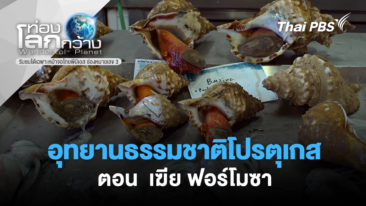 อุทยานธรรมชาติโปรตุเกส ตอน เฆีย ฟอร์โมซา